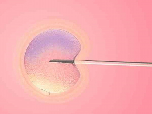 南阳哪个医院做试管婴儿成功率高 南阳能做试管婴儿三代这些优势提前了解 ‘