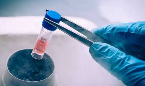 泰国杰特宁试管婴儿医院为什么这么有名？-代怀包性别