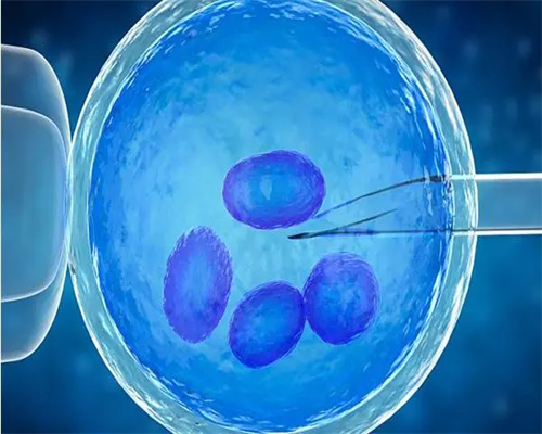 育儿知识百科全书_备孕需要吃什么,邢台不孕不育医院大全，2026排名好的生殖中