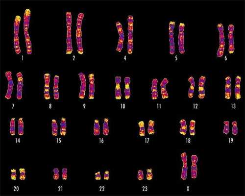 台州中山医院试管婴儿，台州试管婴儿哪家好,去台州做试管婴儿去做好哪些准