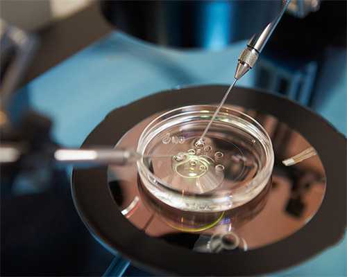 备孕计划表半年_育儿师干什么的,性病可能导致不孕不育