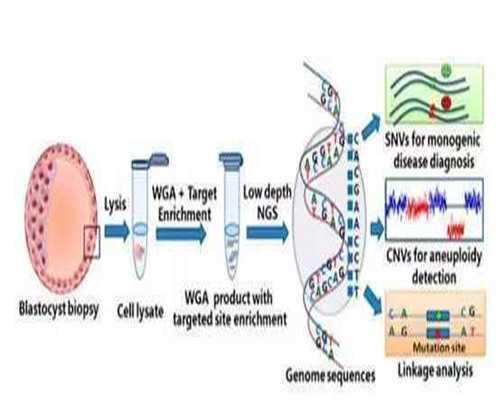 三亚代孕第三代代孕,代孕三包