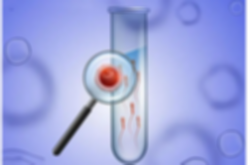 海南省试管婴儿医院排名前十 海南做试管可以不用结婚证吗 ‘孕17周b超男宝小