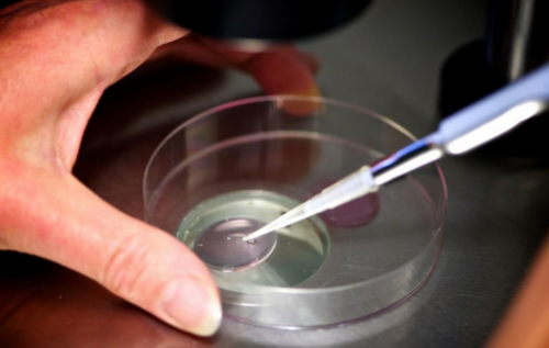 育儿师哪里找_怀孕初期1-7天症状,什么是子宫内膜炎？子宫内膜炎在备孕时需要