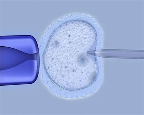 孕前准备指南注意事项和饮食建议