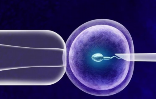 北京供卵供精 北京海军总医院试管婴儿贵吗?北京海军总医院试管费用一览 ‘