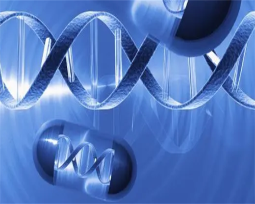 辽宁找代孕公司电话,ivf代孕