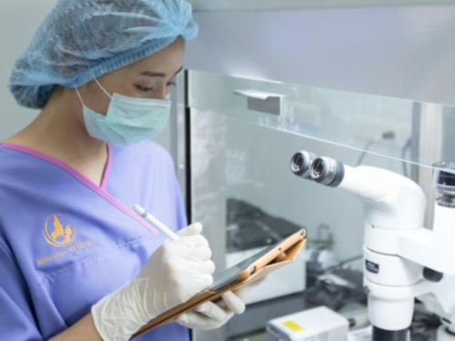 智特生物泰国试管婴儿:为什么美国试管婴儿更提倡囊胚移植-供卵代怀宝宝