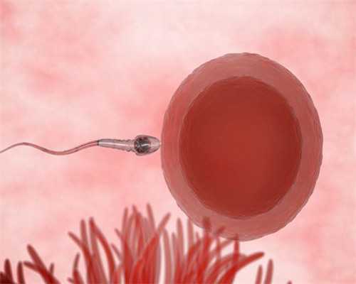 怀孕的症状前兆一周_备孕注意事项,高龄女性想生二胎要做好四个准备-科学备孕