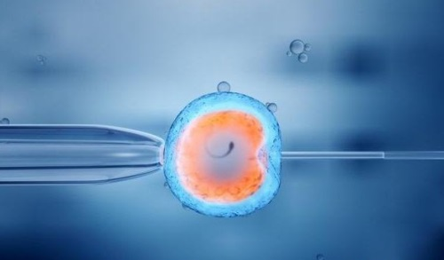 株洲代孕收费,代孕成功率高么