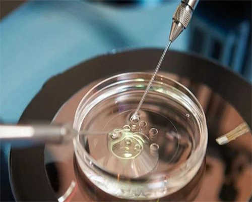 阴性血型熊猫血可以做试管婴儿吗