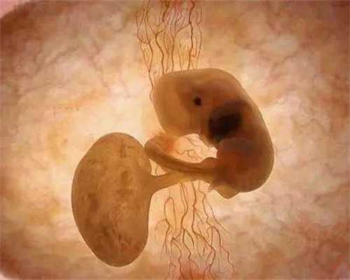 泰国第三代试管婴儿优势全维度解析！-试管代生机构