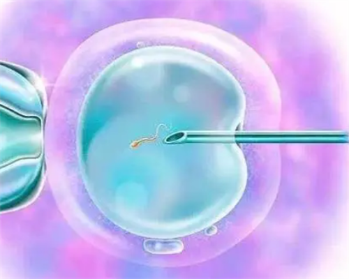 怎样备孕成功率高_早教育儿师资格证,【备孕】提高男性生育的十大秘诀！