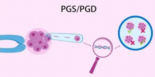 育儿教育书籍_育儿书籍,备孕期间熬夜的危害有多严重？宝宝健康随之下降