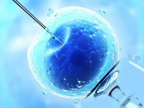 贵州哪家医院做试管婴儿最好 贵州供精试管婴儿攻略 ‘怀孕7个月b超查男女准