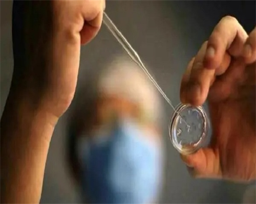 深圳罗湖区人民医院 试管婴儿 2026深圳罗湖医院试管婴儿成功率： ‘怀孕期间