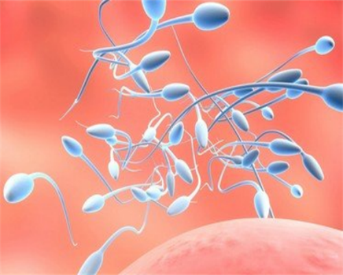 宁波试管婴儿技术如何？什么时候试管婴儿？,宁波的试管婴儿技术处于什么水