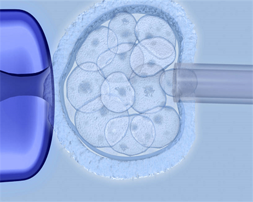 青岛借卵试管费用是多少钱 青岛公立供卵试管医院名单 ‘三个月做b超能看出男