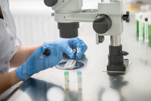 试管冻胚和囊胚哪种好-代孕咨询