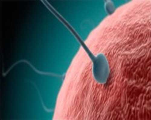 深圳武警医院生殖科做试管需要多少钱 2026深圳试管婴儿医院大全 ‘八周孕囊尺