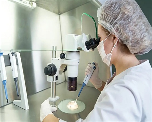 广州有喜试管机构 55岁高龄女性在广州做试管婴儿成功率多少？ ‘孕囊36×30x