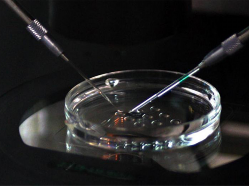 湖北试管婴儿纳入医保了吗,湖北协和生殖中心做试管怎么样?能做三代试管吗