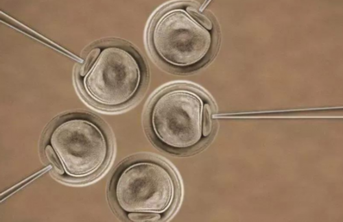 试管代孕的看法-成都代孕全过程