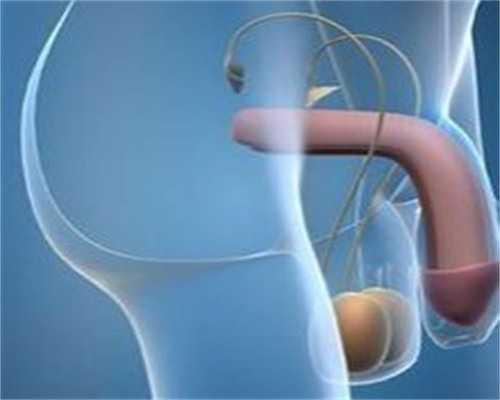 做试管婴儿需要多少钱诚推台湾茂盛医院 台湾省试管婴儿的费用 ‘三维彩超单