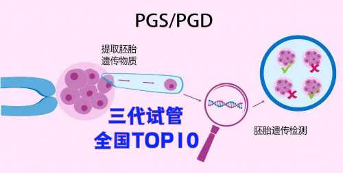株洲代孕收费,代孕成功率高么
