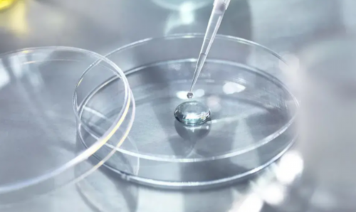 乌鲁木齐试管生排名最好的有哪些如何选择试管生