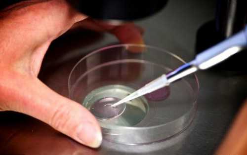 四川代孕简介,哪里有女人代孕的