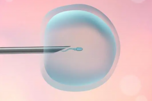 东莞人民医院、妇幼保健院、东华医院做试管哪家好 东莞东华医院有试管婴儿