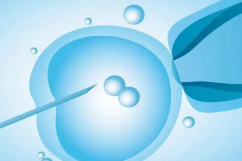 试管婴儿的费用有多少？揭温州试管婴儿的价格