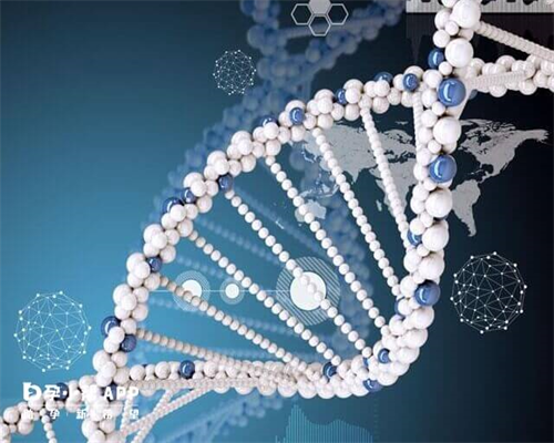 怎样备孕_育儿嫂中介公司,浙江省嘉兴市2026年当地供卵试管助孕医院排名（内含