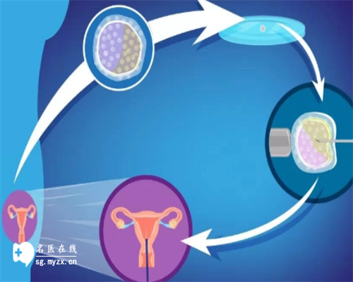 备孕检查挂什么科室_育儿师资格证,黑龙江2026年试管医院排名最好的有哪几家，