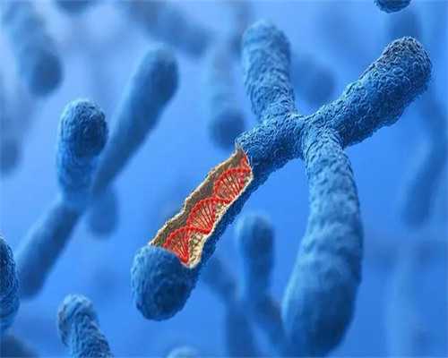 济南960军区总医院试管价目表 2026济南试管婴儿医院 ‘四维宝宝爬着能看出来男