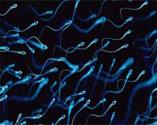 郴州南院做试管的专家 最新郴州哪家试管医院成功率最高 ‘双顶径17,头臀长