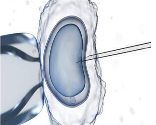 怀孕多久可以流产_备孕前检查6大项,月经、体重正常，泌乳素升高会导致不孕吗