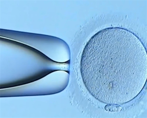 育儿知识大全_育儿知识3至6岁,北京不孕不育医院有哪些？哪家医院最好