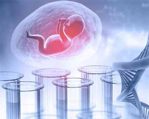 拉拉美国试管婴儿攻略:AB卵龙凤胎-代生儿子价格