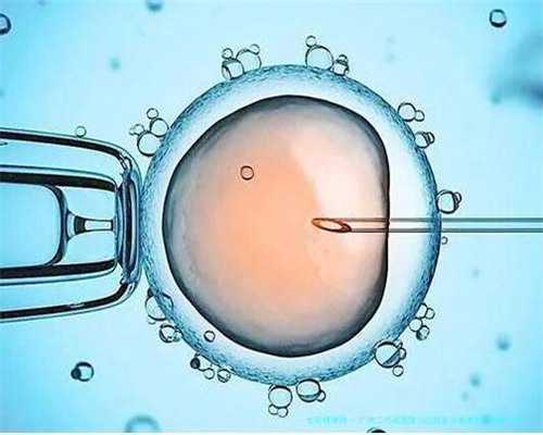 男性备孕饮食指南：科学搭配食谱助力健康孕育