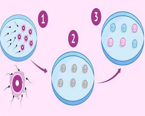 备孕当月就怀上_育儿软件哪个好用,子宫内膜薄无法生育?可以接受泰国试管婴儿