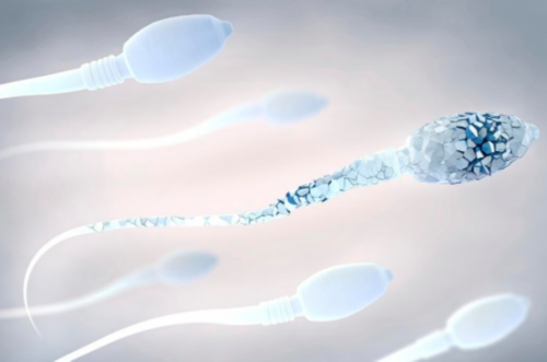 怀孕的症状有哪些_育儿书籍排名,2026云南供卵多少钱及详细步骤一览！附云南供