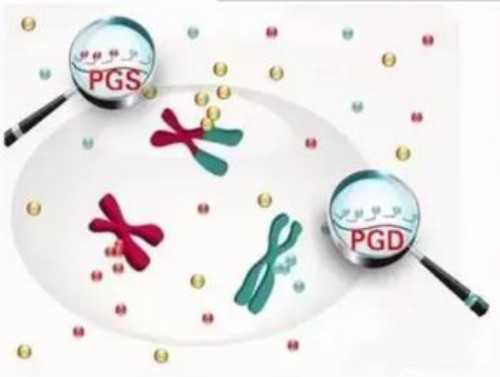 美国hrc生殖医疗中心：美国三代试管婴儿攻略-代生宝宝