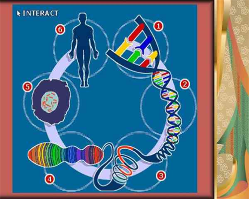 备孕期间老公感冒_怀孕初期出血褐色,现在医院检查男性不孕不育需要做什么检