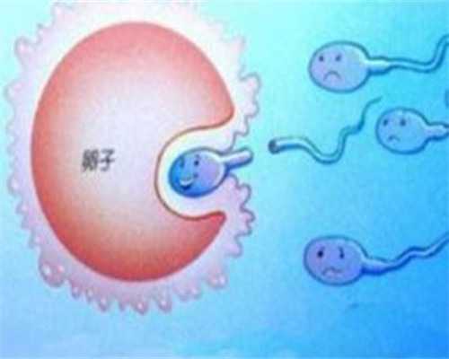 漯河三次试管婴儿大概花多少钱？漯河三次试管婴儿大概花多少钱费用？-借卵代怀