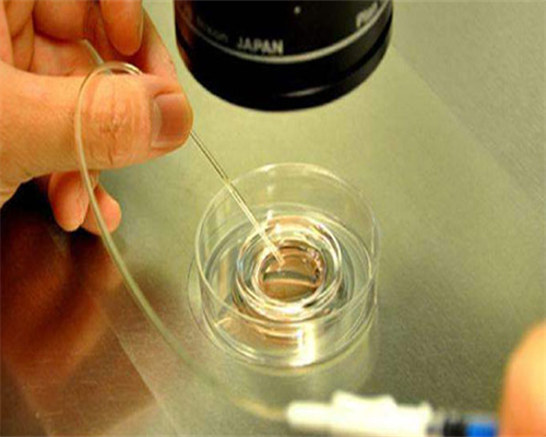 小学生智力发展必备推荐最好的DHA食品