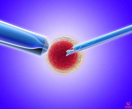 怀孕公司倒闭怎么赔_备孕前检查挂哪个科,2026鹤壁不孕不育医院排名，附鹤壁生