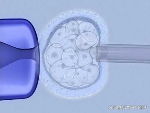 浙江中介代孕价格,2026我想求代孕