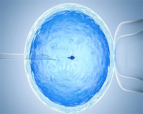 台湾试管婴儿成功率 推荐台湾茂盛医院 台湾高龄试管婴儿有哪些优势 ‘16周